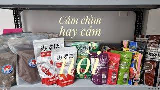 Fish 79: Nên cho cá vàng ăn cám chìm hay cám nổi?