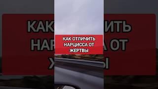 Вы научитесь безошибочно понимать, кто НАРЦИСС, а кто ЖЕРТВА #нарциссизм #отношенияснарциссом