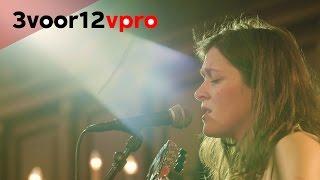 Pitou - Session at Motel Mozaïque 2017