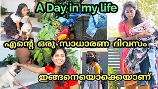 A Day In my life | എന്റെ ഒരു സാധാരണ ദിവസം ഇങ്ങനെ ഒക്കെ ആണ് |Lifestyle| Reenas greenHome | Indianlife