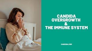 Candida Overgrowth and The Immune System