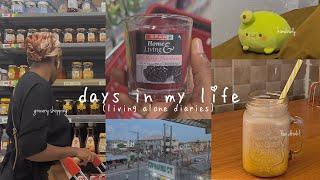 Days in my life as an Introvert in Nigeria || living alone diaries || vlog 