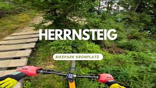 Herrnsteig over the Limit  Level Rot/ Schwarz Bikepark Kronplatz ganze Strecke RAW POV