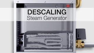Descaling SAWO steam generators