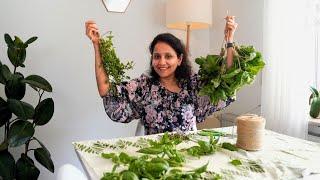 Preserving Herbs | Drying & Freezing