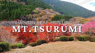 Mount Tsurumi and Beppu Ropeway in Autumn, 2022 | Beppu, Oita | Japan Vlog