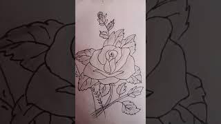 rose ka drawing || #shorts  #sameer