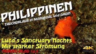 Tauchen PHILIPPINEN - Luca´s Sanctuary "Nachttauchgang mit starker Strömung" 4K Dauin