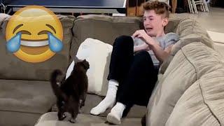 Cats Being JERKS! Savage Cats Attacking People Compilation || PETASTIC 