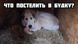 ЧТО ПОСТЕЛИТЬ СОБАКЕ В БУДКУ ЗИМОЙ ? || Сено, опилки, солома или тряпки?