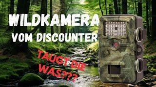 Wildkamera Test - Wildcam vom Discounter?