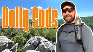 Solo Camping The West Virginia Mountains