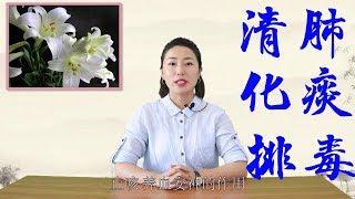 Chinese medicine recommends 4 kinds of foods, and eat more Qingfei Huayu detoxification.