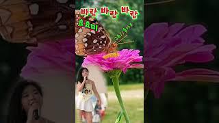 섹시디바 요요미