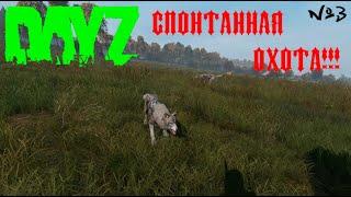 Спонтанная охота! DayZ PREDATORS Выживание на ПВЕ/PVE  (серия 3)