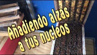 Añadiendo alza a núcleos