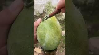 মজার ফল চাইনার সব থেকে বড় আম #facst #fruit #amazing #banglafacttube #mango