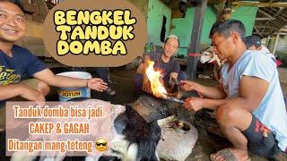 BENGKEL TANDUK DOMBA, AHLINYA MEMPERCANTIK TANDUK DOMBA 