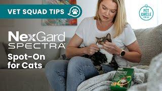 How NexGard Spectra Spot-On for cats works | PET CIRCLE