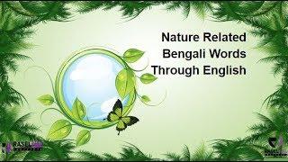 Learn Bengali Nature Related Words In English For Beginners