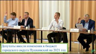 Депутаты внесли изменения в бюджет городского округа Пушкинский на 2021 год