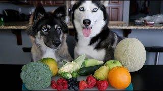 Will My Huskies Eat Their Fruits & Veggies?