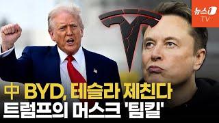 트럼프의 관세, 테슬라 '팀킬'…시진핑만 '씨익' 웃는 현상황