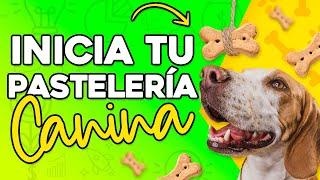 COMO INICIAR Una PASTELERÍA CANINA Y FELINA Paso a Paso ️