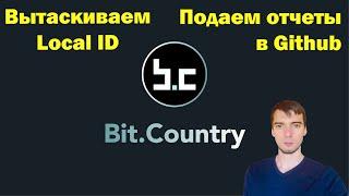 BitCountry - Local node ID и подача отчета Ambassador