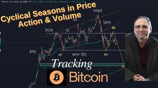 Tracking Bitcoin: Cyclical Seasons in Price Action & Volume #btc #bitcoin #crypto