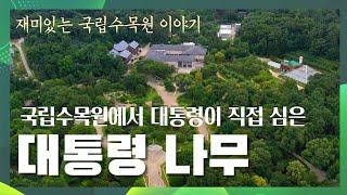 [4K 힐링 영상 / 7월] 국립수목원의 대통령 나무