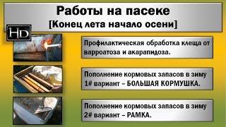 Пчеловодство  Работы на пасеке  [Конец лета начало осени]