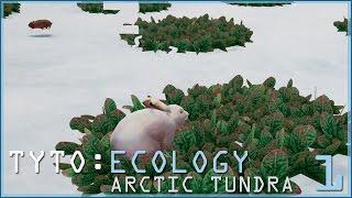 A World of Snowshoe Hares & Poisonous Moss?! • TYTO: ECOLOGY: ARCTIC TUNDRA - Episode #1