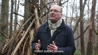 FOREST EUROPE Intro