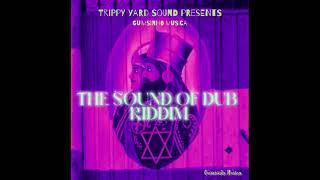 The Sound Of Dub Riddim (Dubplate Mix) by Guimsinho Musica