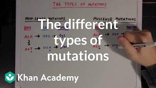 The different types of mutations | Biomolecules | MCAT | Khan Academy