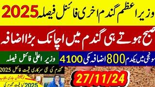 wheat support  price 2025 پنجاب میں گندم قیمت نوٹیفکیشن اعلان/today munji makki rate 1509