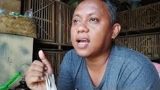 Memilih bentuk tulang dada yang cocok untuk suatu arena kolong