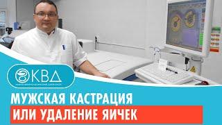  Мужская кастрация или удаление яичек. Клинический случай №551