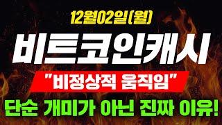 [긴급속보] 12월02일(월)비트코인캐시"비정상적 움직임"단순 개미가 아닌 진짜 이유!  #비트코인캐시 #비트코인캐시전망