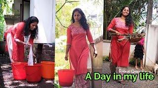 അങ്ങിനെ വീടിന്റെ ഉമ്മറം വീണ്ടും കാട് ആയി | A day in my life | Reenas green home |Indian housewife