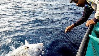 Catching Giant Trevally, Diamond Trevally, Pilot Fish & Mangrove Jack in the Sea