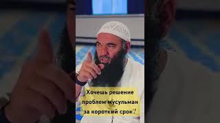 Для обладающих разумом #ислам #палестина