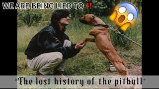 The lost history of the Pit-Bull ‼️: Viewer discretion is advised