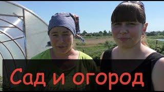 Что мы всё о коровах и коровах.. Прогуляемся ПО нашему САДУ и ОГОРОДУ