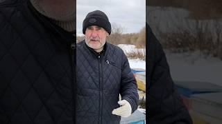 Признаки болезней пчёл? #пчеловодство #пчелаглу #пчеловодство2024