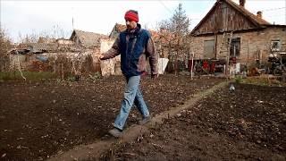 Рыболовная прикормка для голубей. Новый рацион для бойных голубей. Бакинские и Сороки (панцеря).