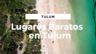 Lugares baratos en Tulum, Riviera Maya || Voluntariado #6