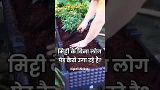 मिट्टी के बिना लोग पेड़ कैसे उगा रहे है? By Right To Shiksha