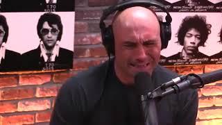 Joe Rogan on having no direction in life (JRE #941)